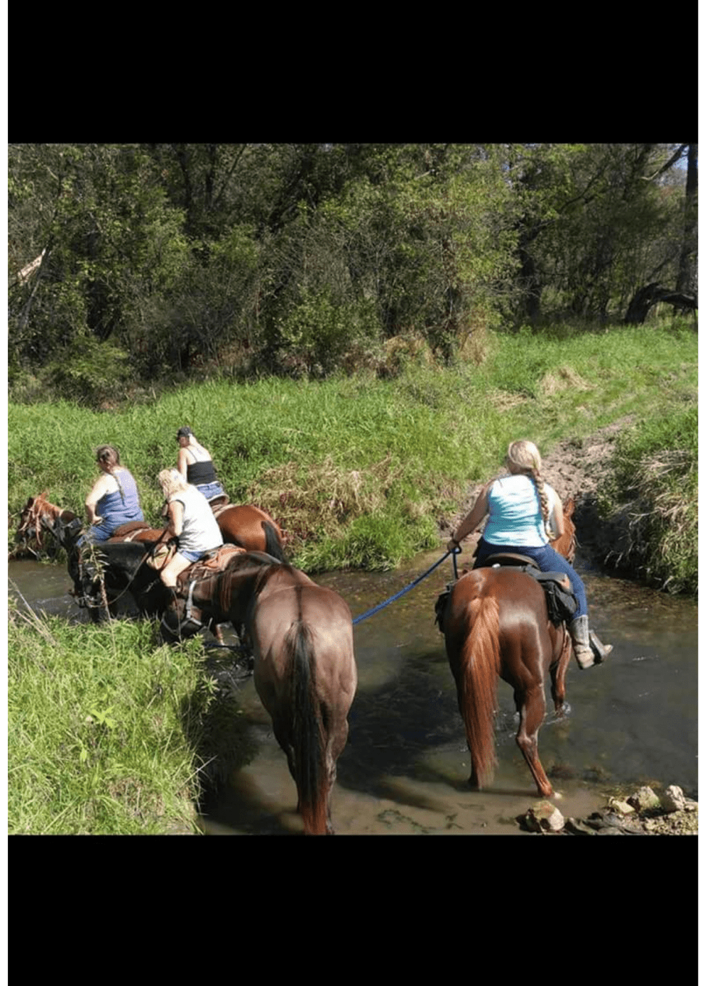 Screenshot_20181006-064804