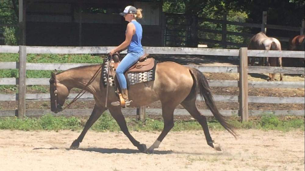 received_2024738487617003