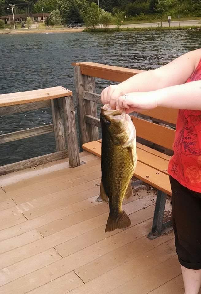 69315595_531332620740761_5416820875498356736_n